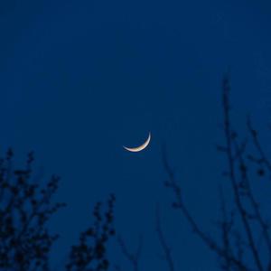 真人裸体做爰免费视频播放
